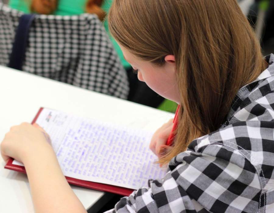 Program of studies for schoolchildren